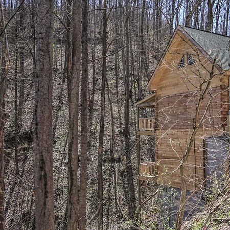 The Phoenix Cabin With Hot Tub In Gatlinburg! エクステリア 写真